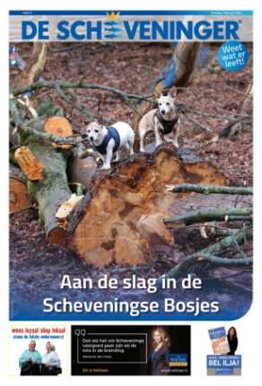 Editie voorpagina